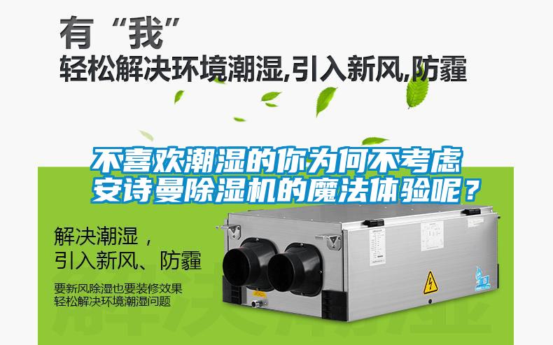 不喜欢潮湿的你为何不考虑草莓视频下载安装草莓视频黄色在线观看机的魔法体验呢？