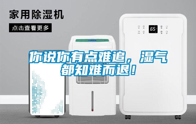 你说你有点难追，湿气都知难而退！