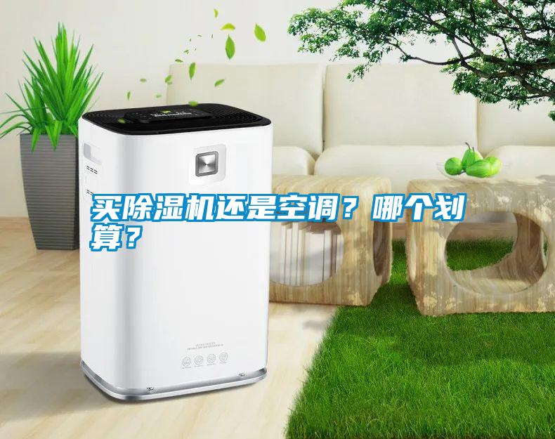 买草莓视频黄色在线观看机还是空调？哪个划算？