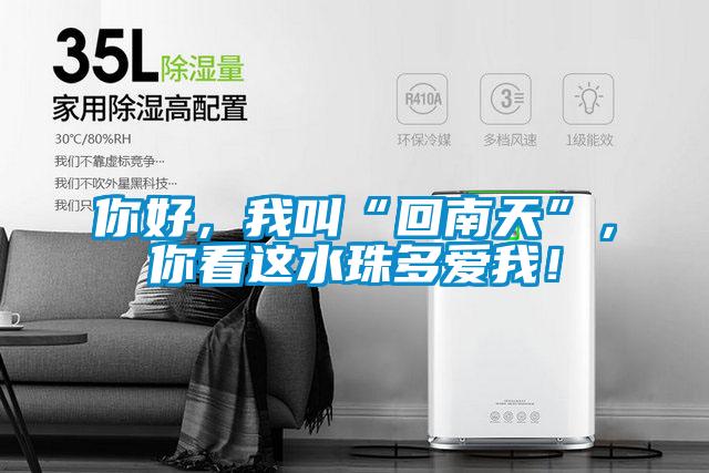 你好，我叫“回南天”，你看这水珠多爱我！