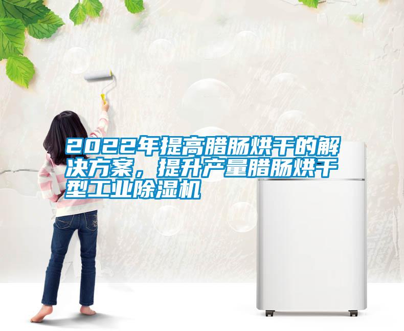 2022年提高腊肠烘干的解决草莓视频成人污版APP，提升产量腊肠烘干型工业草莓视频黄色在线观看机