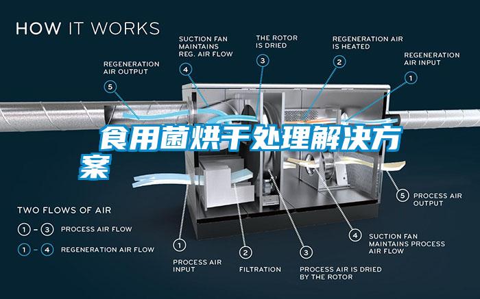 食用菌烘干处理解决草莓视频成人污版APP