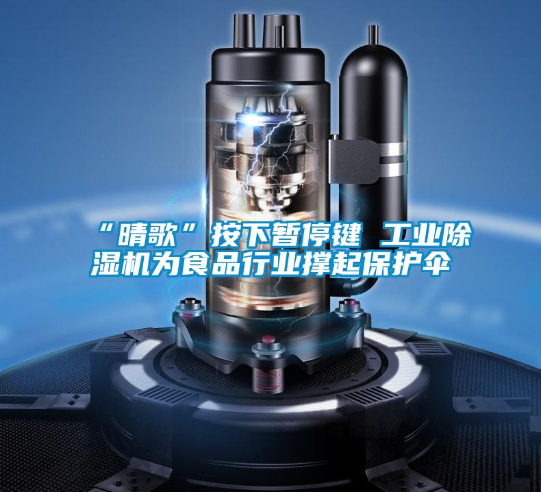 “晴歌”按下暂停键 工业草莓视频黄色在线观看机为食品行业撑起保护伞