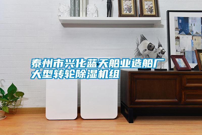 泰州市兴化蓝天船业造船厂 大型转轮草莓视频黄色在线观看机组