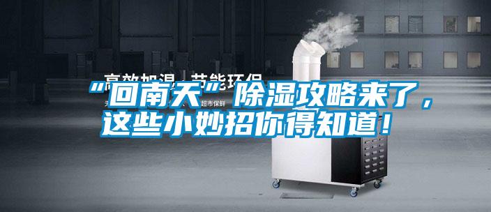 “回南天”草莓视频黄色在线观看攻略来了，这些小妙招你得知道！