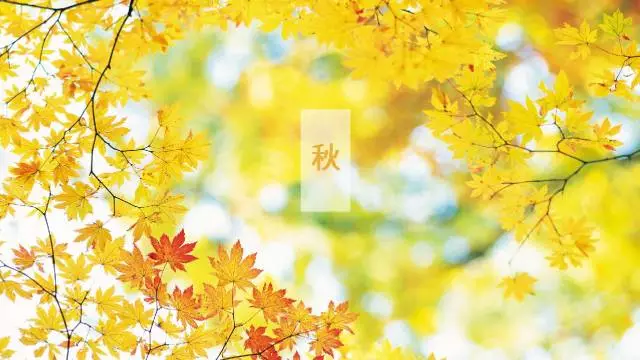 知识百科一定要草莓视频黄色在线观看的10大领域