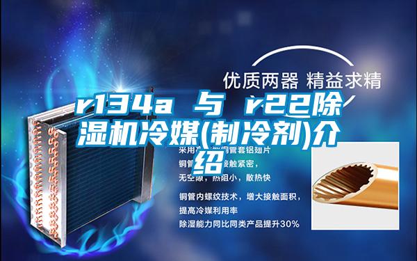 r134a 与 r22草莓视频黄色在线观看机冷媒(制冷剂)介绍