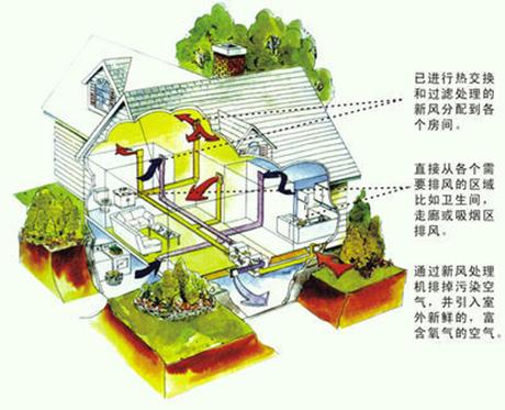 工业草莓视频黄色在线观看机厂家