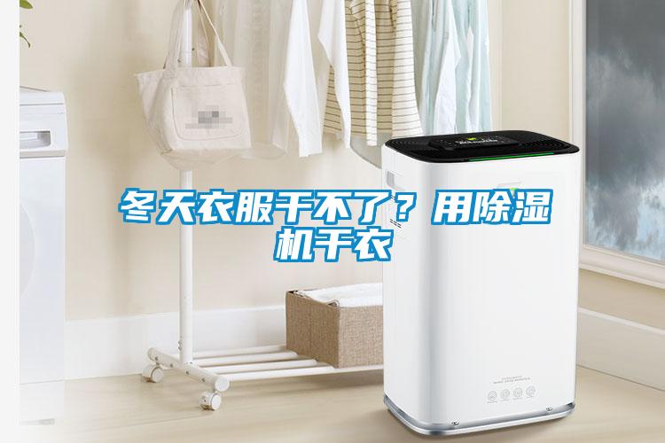 冬天衣服干不了？用草莓视频黄色在线观看机干衣