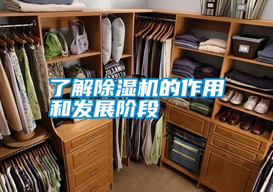 了解草莓视频黄色在线观看机的作用和发展阶段