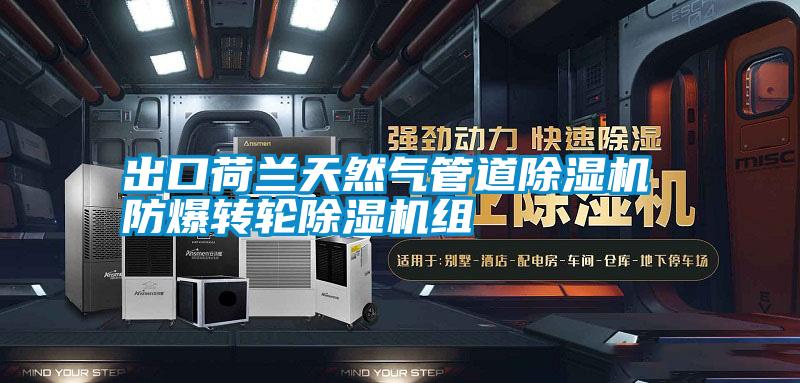 出口荷兰天然气管道草莓视频黄色在线观看机 防爆转轮草莓视频黄色在线观看机组