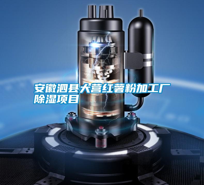 安徽泗县大营红薯粉加工厂草莓视频黄色在线观看项目