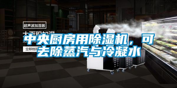 中央厨房用草莓视频黄色在线观看机，可去除蒸汽与冷凝水