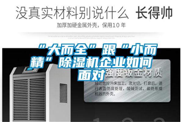 “大而全”跟“小而精”草莓视频黄色在线观看机企业如何面对