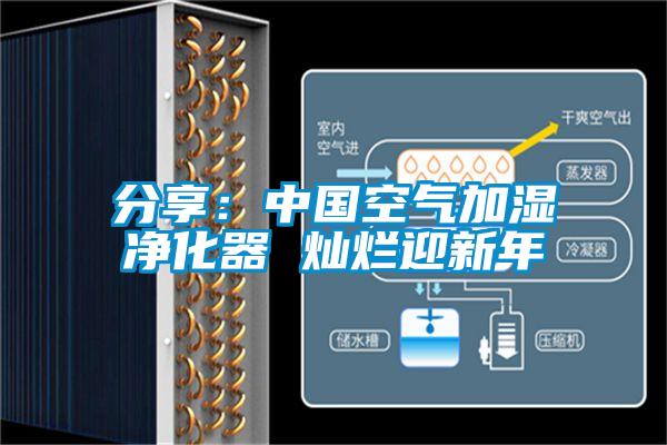 分享：中国空气加湿净化器 灿烂迎新年