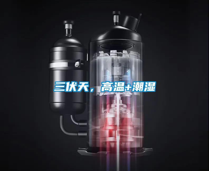 三伏天，高温+潮湿