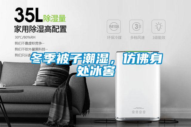 冬季被子潮湿，仿佛身处冰窖