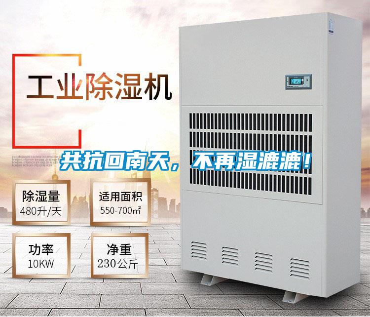 共抗回南天，不再湿漉漉！
