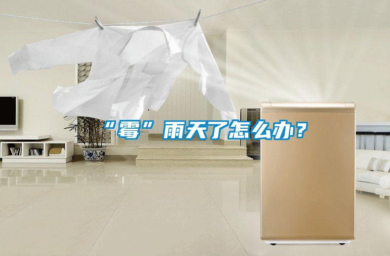 “霉”雨天了怎么办？