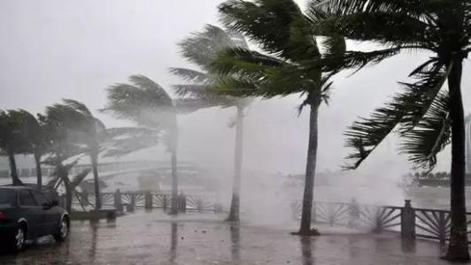 8月台风雨即将来，草莓视频黄色在线观看机还得用起来
