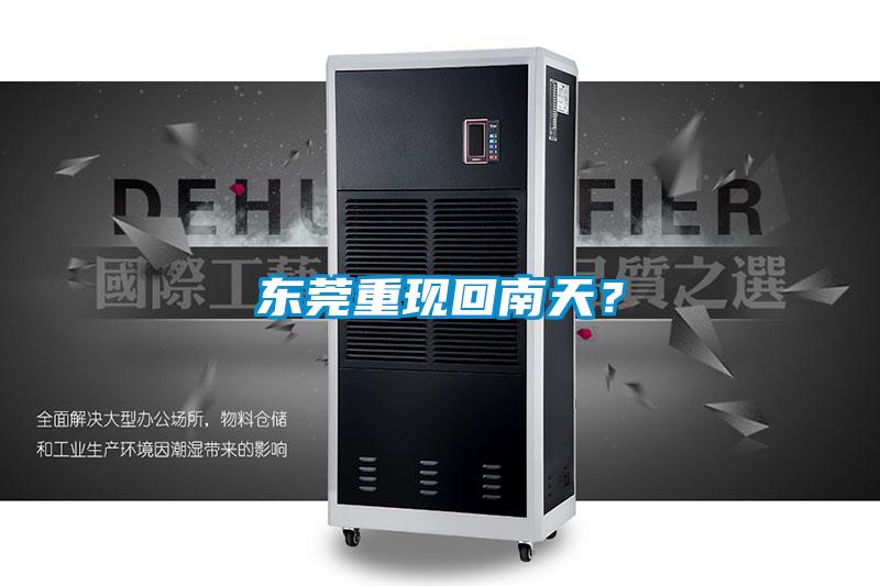东莞重现回南天？