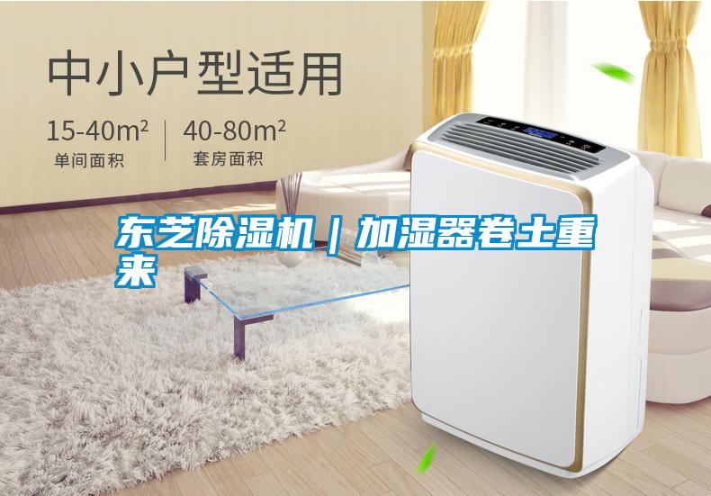 东芝草莓视频黄色在线观看机｜加湿器卷土重来