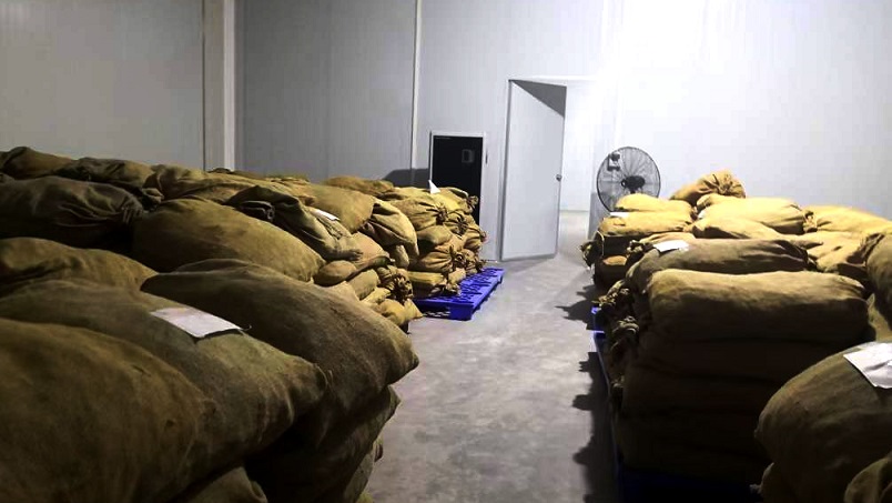 仓库草莓视频黄色在线观看机在陈皮储存过程中的应用