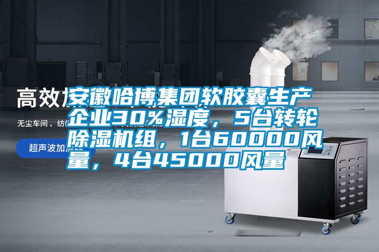 安徽哈博集团软胶囊生产企业30%湿度，5台转轮草莓视频黄色在线观看机组，1台60000风量，4台45000风量