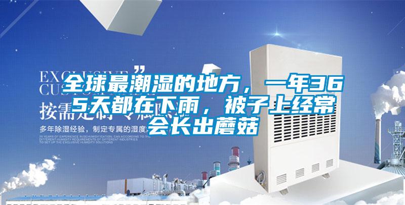 全球最潮湿的地方，一年365天都在下雨，被子上经常会长出蘑菇