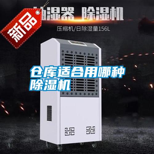 仓库适合用哪种草莓视频黄色在线观看机