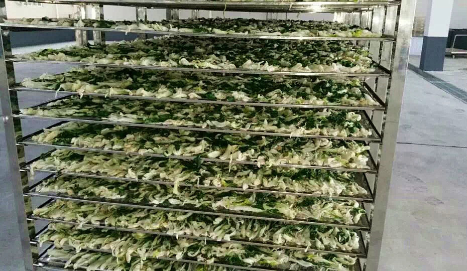 菜干需求一直都很大，蔬菜烘干机很有市场