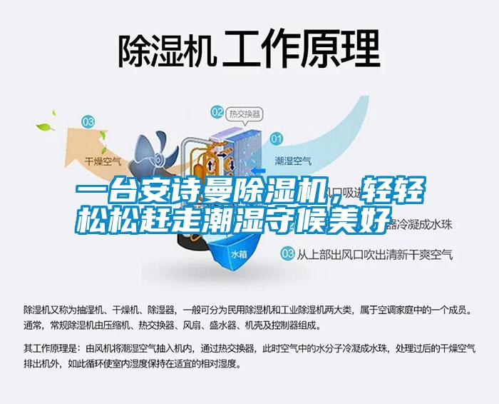 一台草莓视频下载安装草莓视频黄色在线观看机，轻轻松松赶走潮湿守候美好