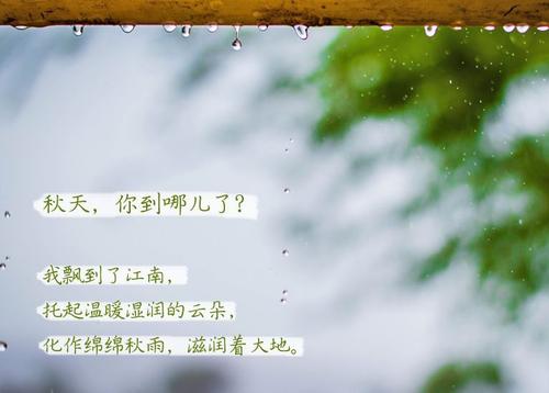 “无晴”阴雨天 “有晴”草莓视频黄色在线观看机