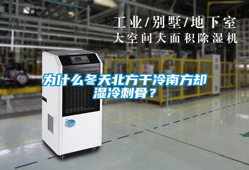 为什么冬天北方干冷南方却湿冷刺骨？