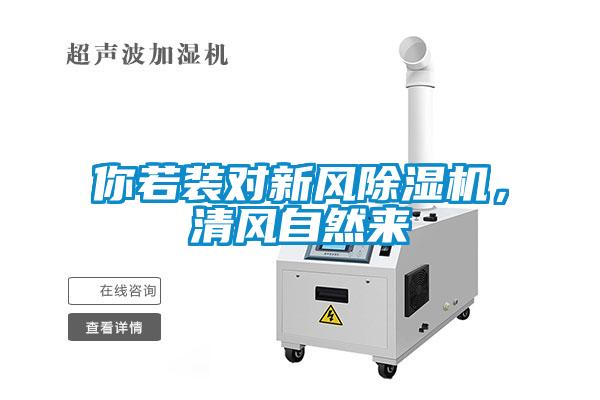 你若装对新风草莓视频黄色在线观看机，清风自然来