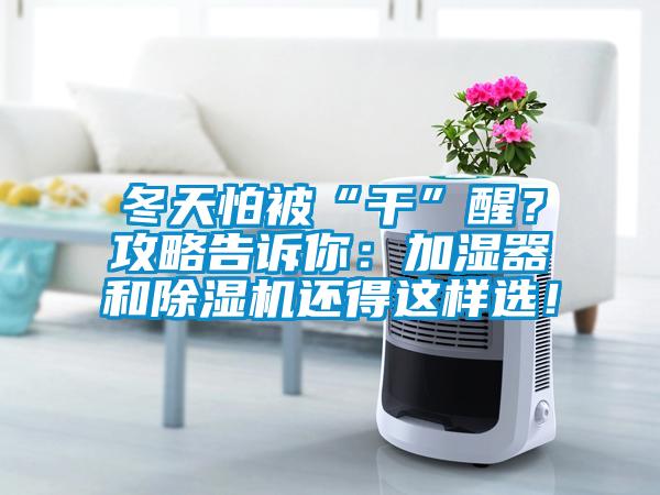 冬天怕被“干”醒？攻略告诉你：加湿器和草莓视频黄色在线观看机还得这样选！