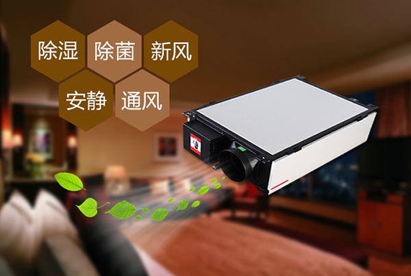 哈密瓜烘干草莓视频黄色在线观看机