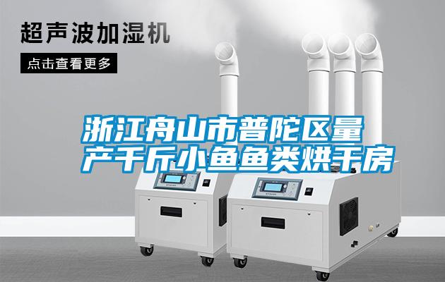 浙江舟山市普陀区量产千斤小鱼鱼类烘干房