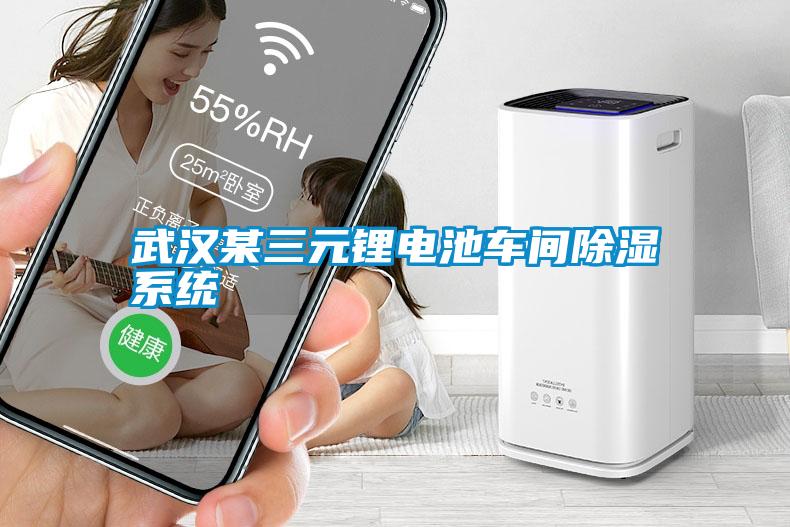 武汉某三元锂电池车间草莓视频黄色在线观看系统