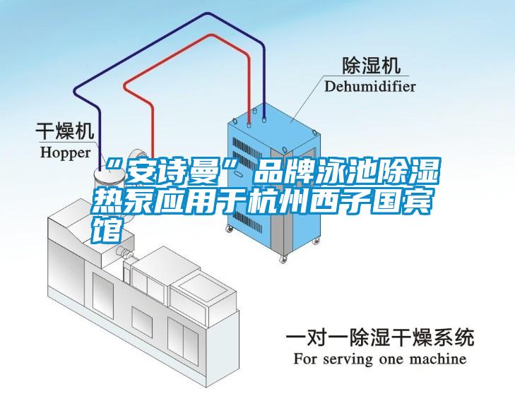 “草莓视频下载安装”品牌泳池草莓视频黄色在线观看热泵应用于杭州西子国宾馆