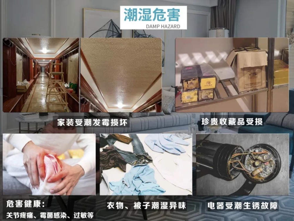 草莓视频黄色在线观看机