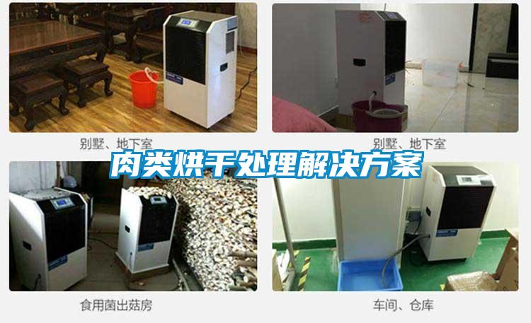肉类烘干处理解决草莓视频成人污版APP