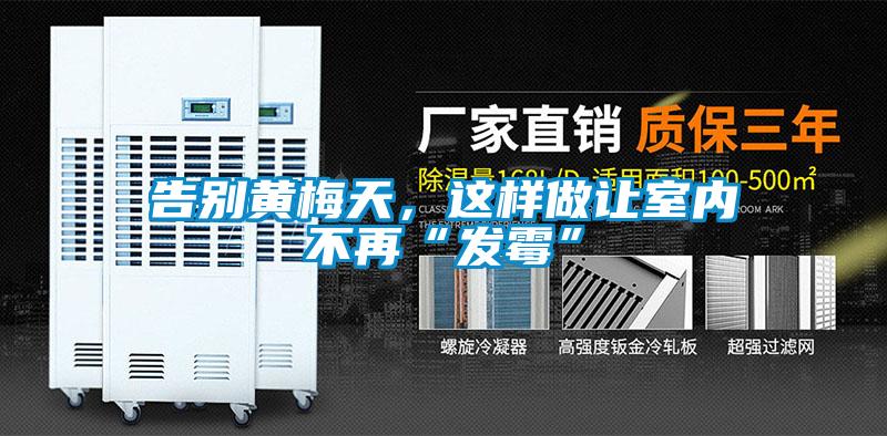 告别黄梅天，这样做让室内不再“发霉”
