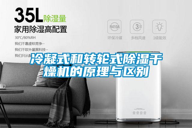 冷凝式和转轮式草莓视频黄色在线观看干燥机的原理与区别