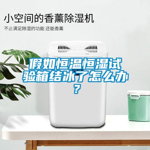 假如恒温恒湿试验箱结冰了怎么办？