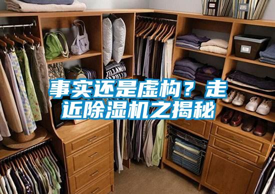 事实还是虚构？走近草莓视频黄色在线观看机之揭秘