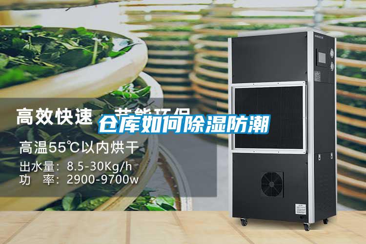 仓库如何草莓视频黄色在线观看防潮