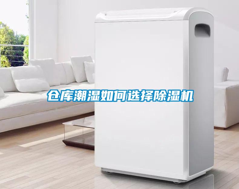 仓库潮湿如何选择草莓视频黄色在线观看机
