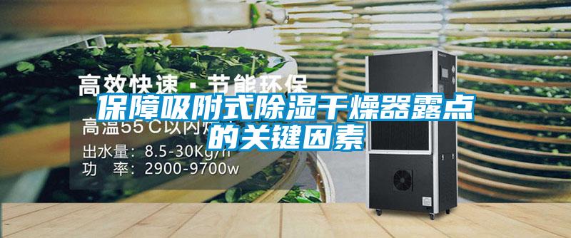 保障吸附式草莓视频黄色在线观看干燥器露点的关键因素