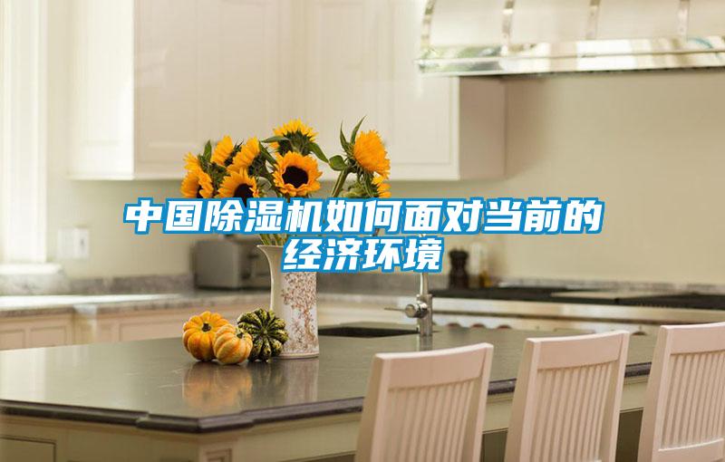 中国草莓视频黄色在线观看机如何面对当前的经济环境